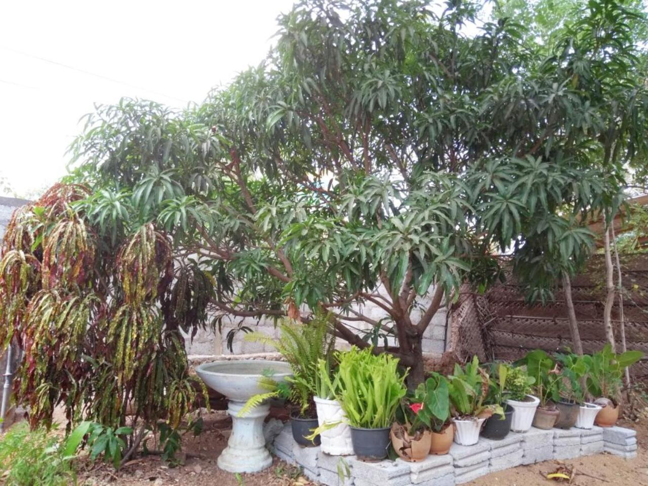 Pawansa Home Stay Habarana Exterior foto